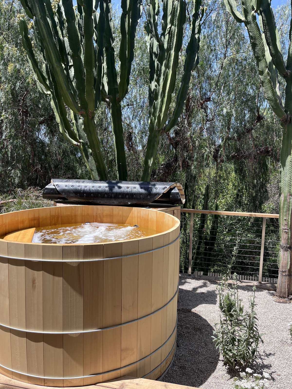 Sauna built in Kensington